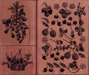 Berries - Kodomo Stamp Set
