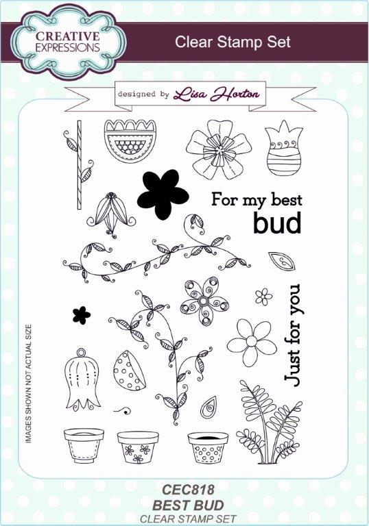 Creative Expressions Best Bud 6 in x 8 in Clear Stamp Set