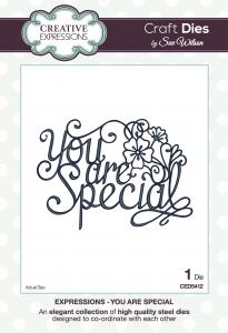 Creative Expressions Sue Wilson Expressions You Are Special Craft Die