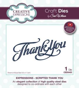 Creative Expressions Sue Wilson Expressions Scripted Thank You Craft Die