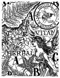Herbal Collage Cushion Mounted Stamp