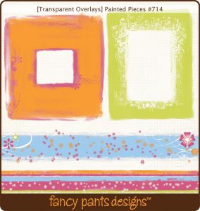 Transparancy Overlay Painted Pieces pk 12