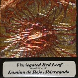La D'ore Variegated Red Leaf (pk 6 leaves)