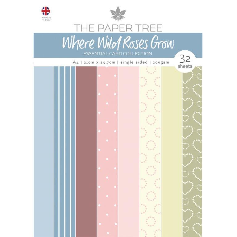 The Paper Tree Where Wild Roses Grow A4 Essential Colour Card