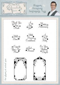 Sentimentally Yours Blossom Occasions Sentiments Tags A5 Clear Stamp Set