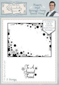 Sentimentally Yours Blossom Small Rectangle Frame Special Friend Pre Cut Stamp Set 2