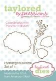 Taylored Expressions Hydrangea Blooms Die
