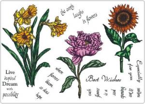 Creative Expressions Umount Floral Delights A5 Stamp Plate