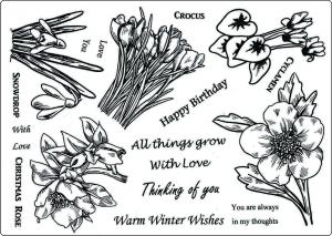Creative Expressions Umount Winter Flowers A5 Stamp Plate